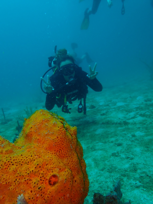 buceo en cartagena